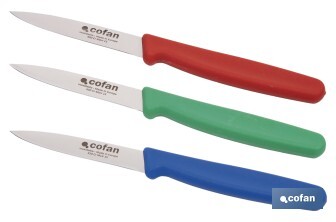 Pack de 3 cuchillos puntilla de acero inoxidable | Mango antideslizante | Apto para lavavajillas - Cofan