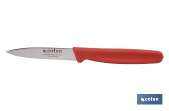 Pack de 3 cuchillos puntilla de acero inoxidable | Mango antideslizante | Apto para lavavajillas - Cofan