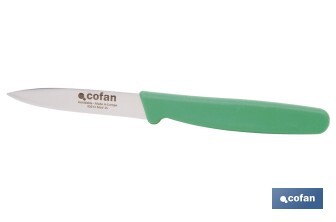 Pack de 3 cuchillos puntilla de acero inoxidable | Mango antideslizante | Apto para lavavajillas - Cofan