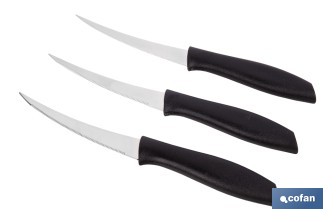 Pack de 3 cuchillos para fruta y verdura con mango ergonómico | Hoja de acero inoxidable | Longitud de la hoja: 10 cm - Cofan