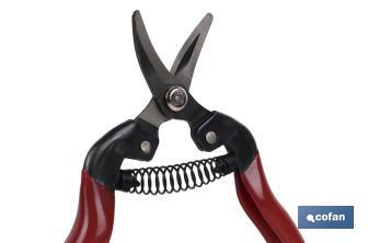 Pruning shears | High quality | Length: 165mm | Curved tip - Cofan