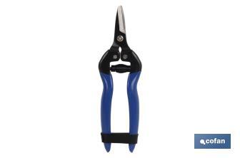 Harvest shears with short blade, straight tip and total length of 165mm | Special for gardening works - Cofan