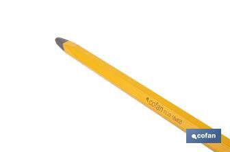 Point head chisel with hex shank | With no handle | Available in various sizes | Steel - Cofan