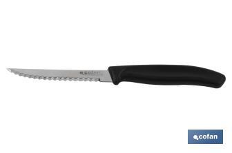 Confezione da 6 unità di coltelli micro-seghettati | Lama di 10,5 cm | Resistenza e durabilità - Cofan
