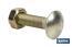 Tornillo de cabeza redonda | Adecuado para cosechadora | Tuerca hexagonal DIN 934 incluida | Clase 8.8 | Disponible en diferentes medidas - Cofan
