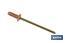 Rivetti in rame con chiodo in ottone - Cofan