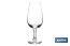 Pack de 6 copas catavinos | Adecuadas para todo tipo de vinos | Capacidad: 17 cl | Altura: 15 cm - Cofan