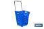 Carrito de la compra | Cesta con 2 ruedas | Asa telescópica | Capacidad: 52 litros | Color: azul | Medidas: 39 x 39 x 52,9 cm - Cofan